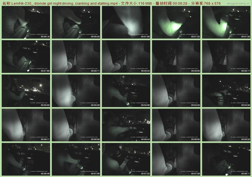 LemNk-230_